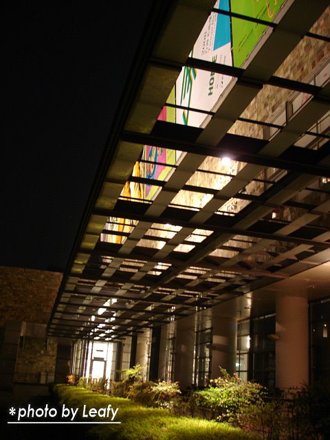 [%E7%85%A7%E7%89%87+2979.jpg]