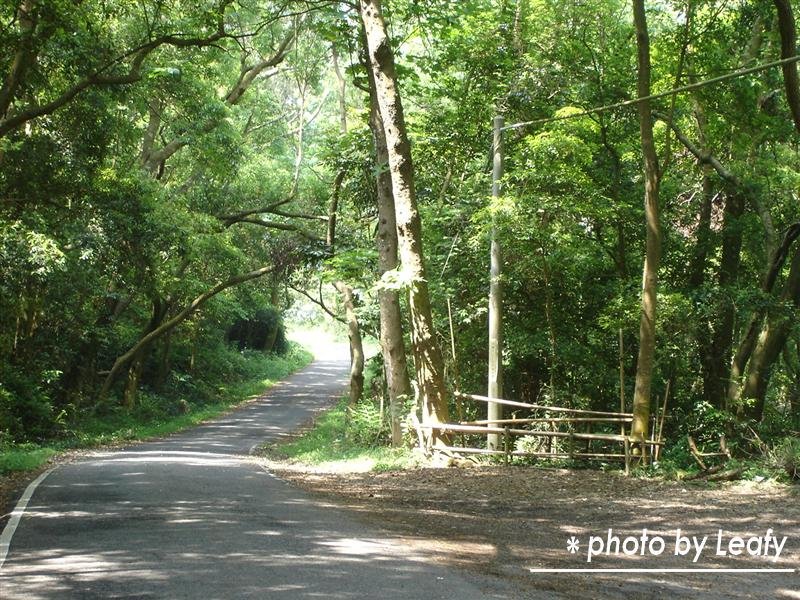 [照片+4722+(Medium).jpg]