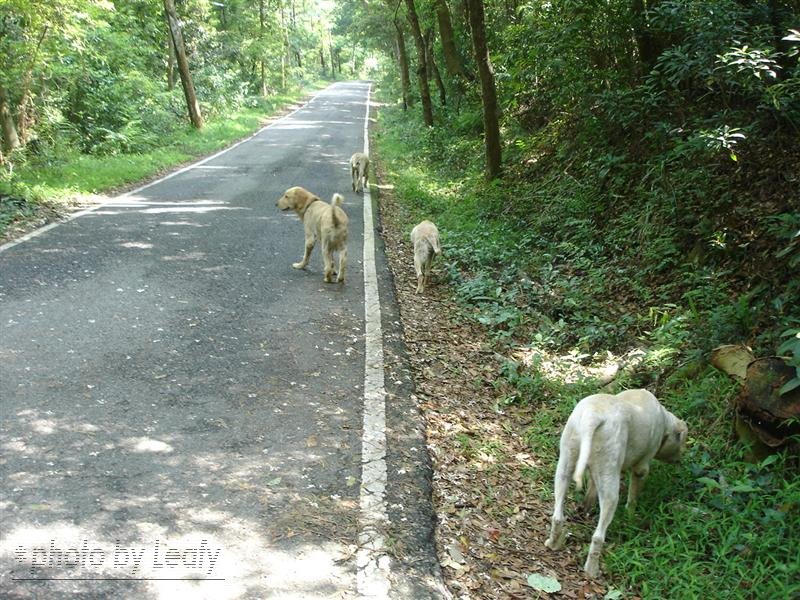 [照片+4721+(Medium).jpg]