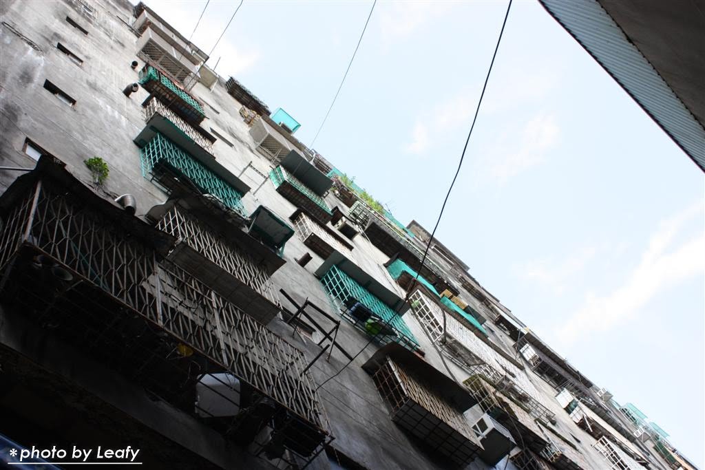 [IMG_6446+(Large).jpg]