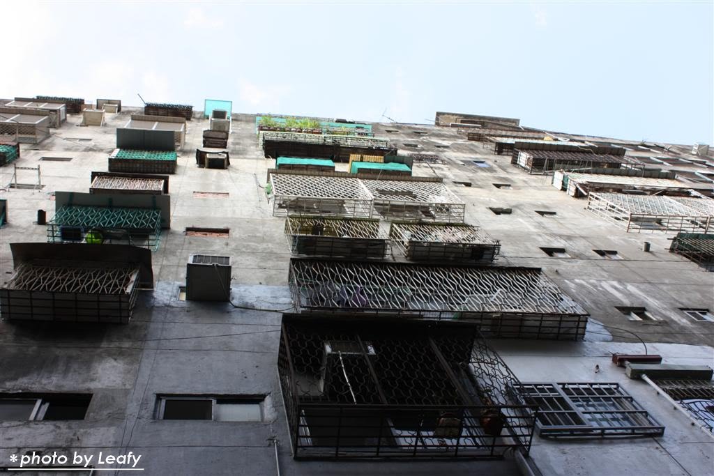 [IMG_6449+(Large).jpg]