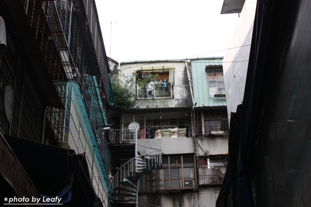 [IMG_6436+(Large).jpg]