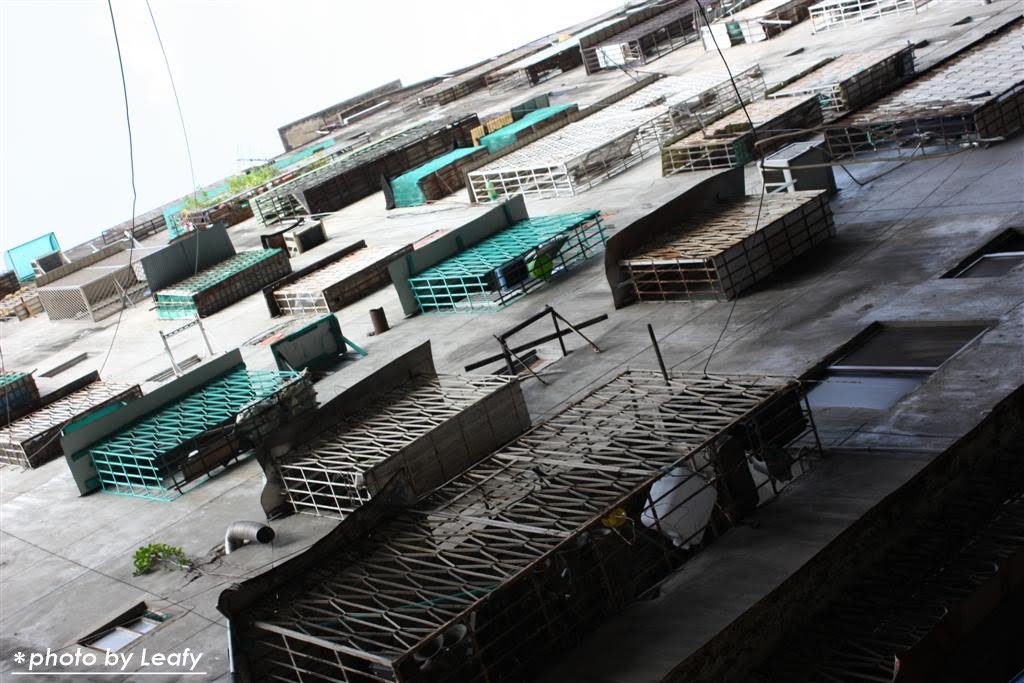 [IMG_6444+(Large).jpg]