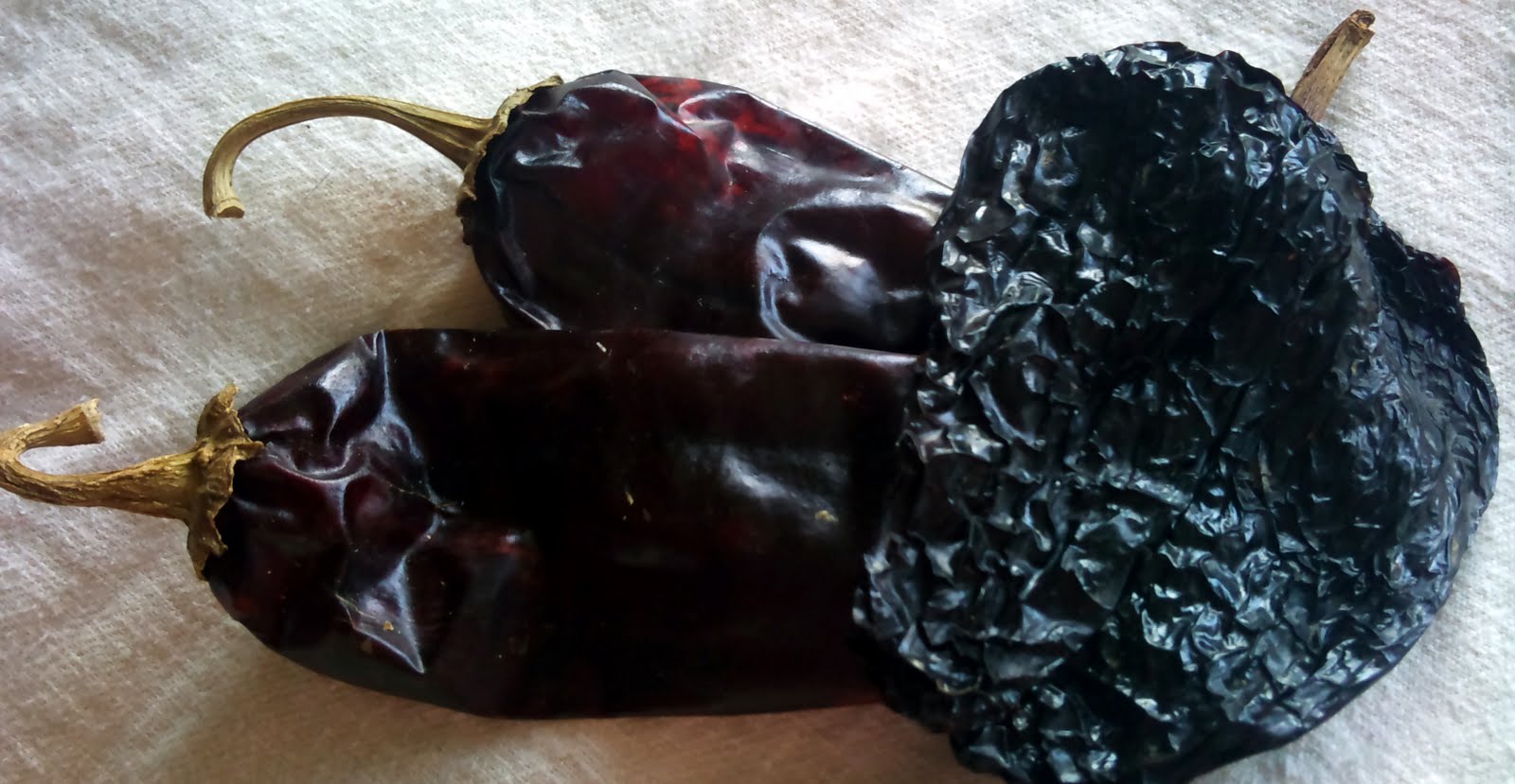 Download Chile Guajillo O Ancho Pictures