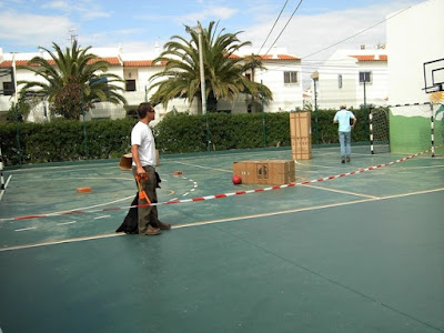 australian shepherd in a school
