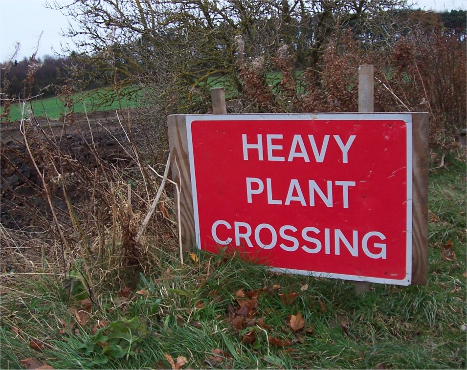[20071201HeavyPlants.jpg]