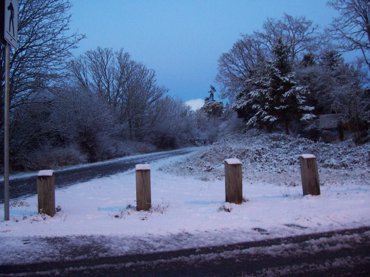 [SnowJanuary27.JPG]