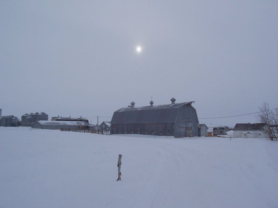 [Barn.JPG]