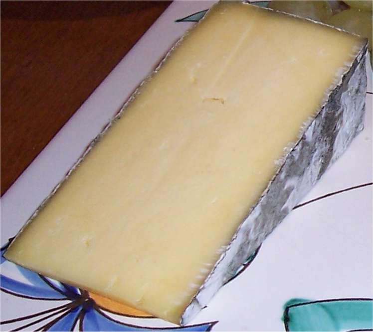 [ParmaCheese3.jpg]