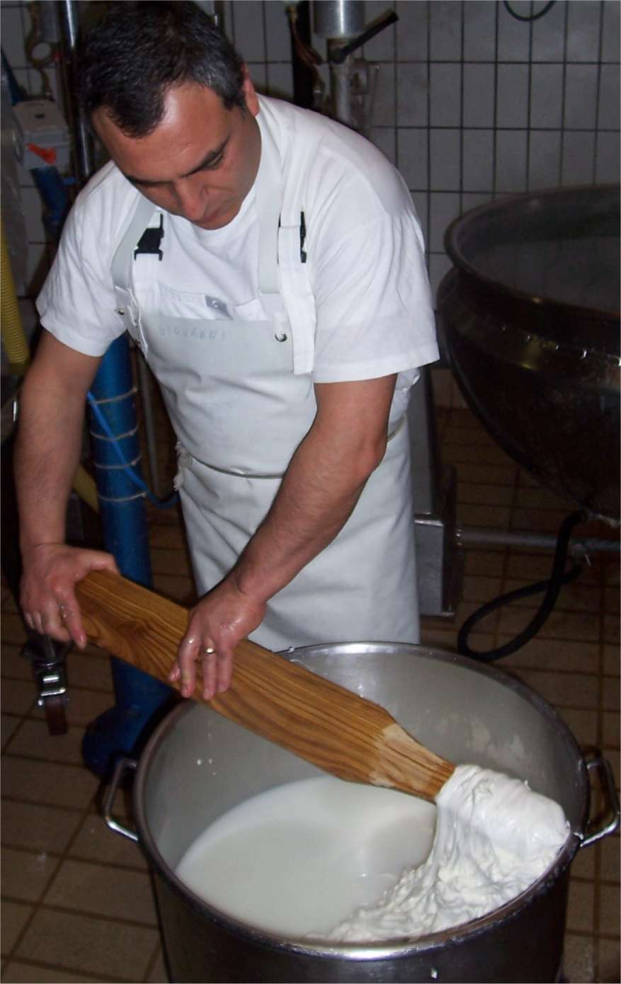 [LodiMozzaStretch1.jpg]