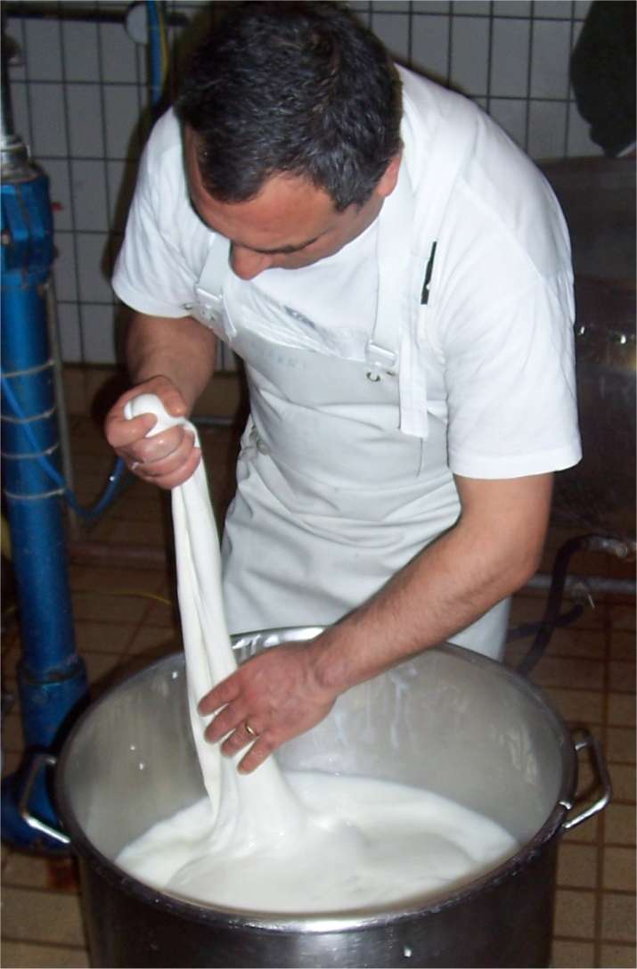 [LodiMozzaShape1.jpg]