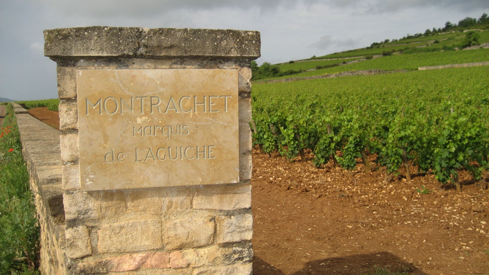 [DijonPulignyMontrachet.JPG]