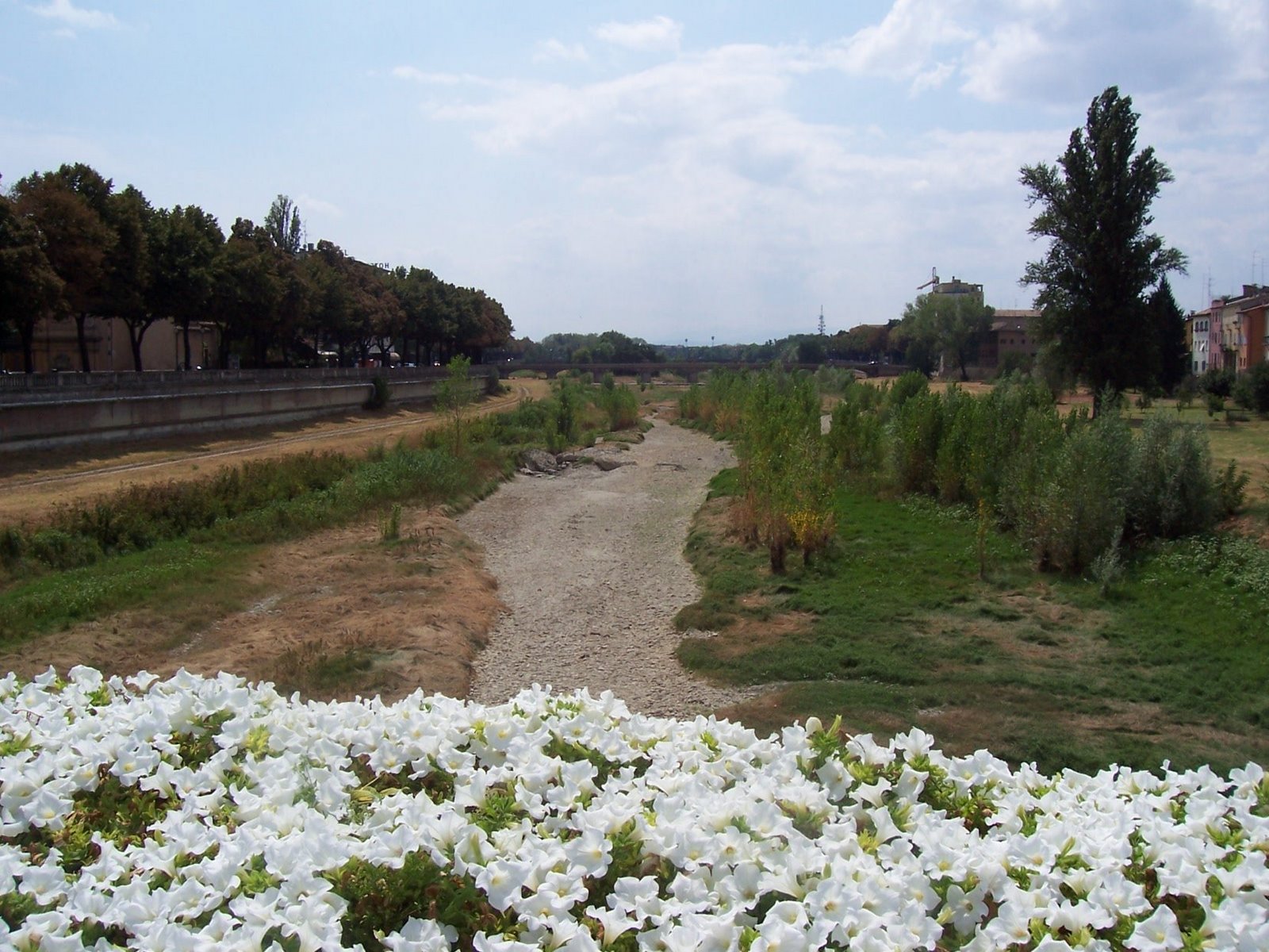 [TorrenteParmaAugust.JPG]