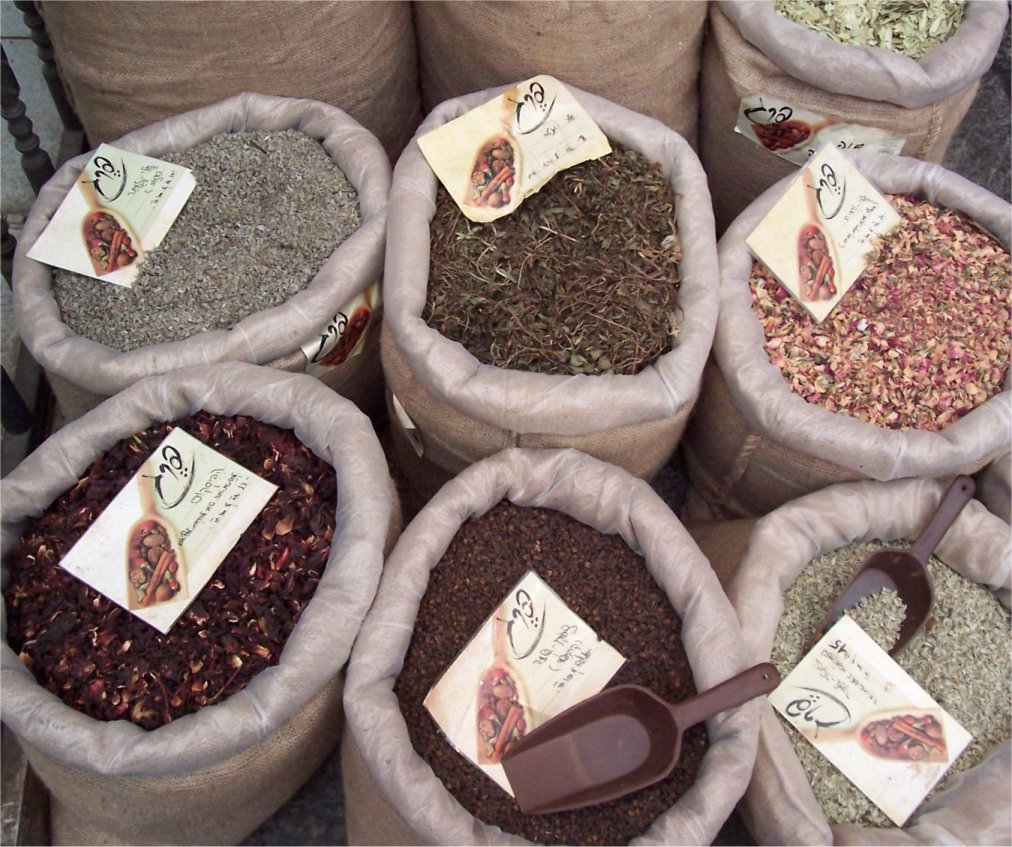 [20071019ShukTea.JPG]