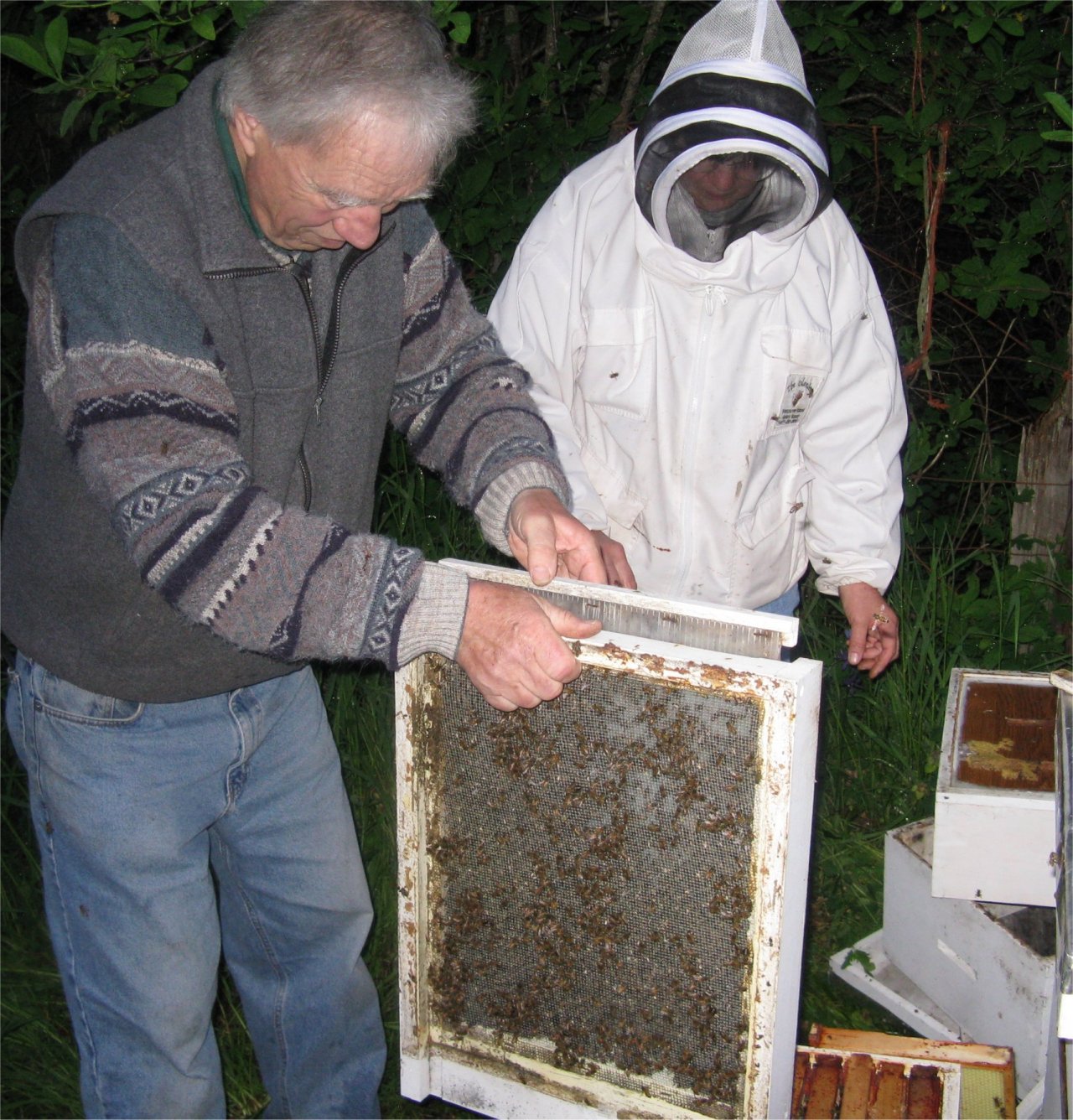 [Beekeeping30stuckinbottom.jpg]