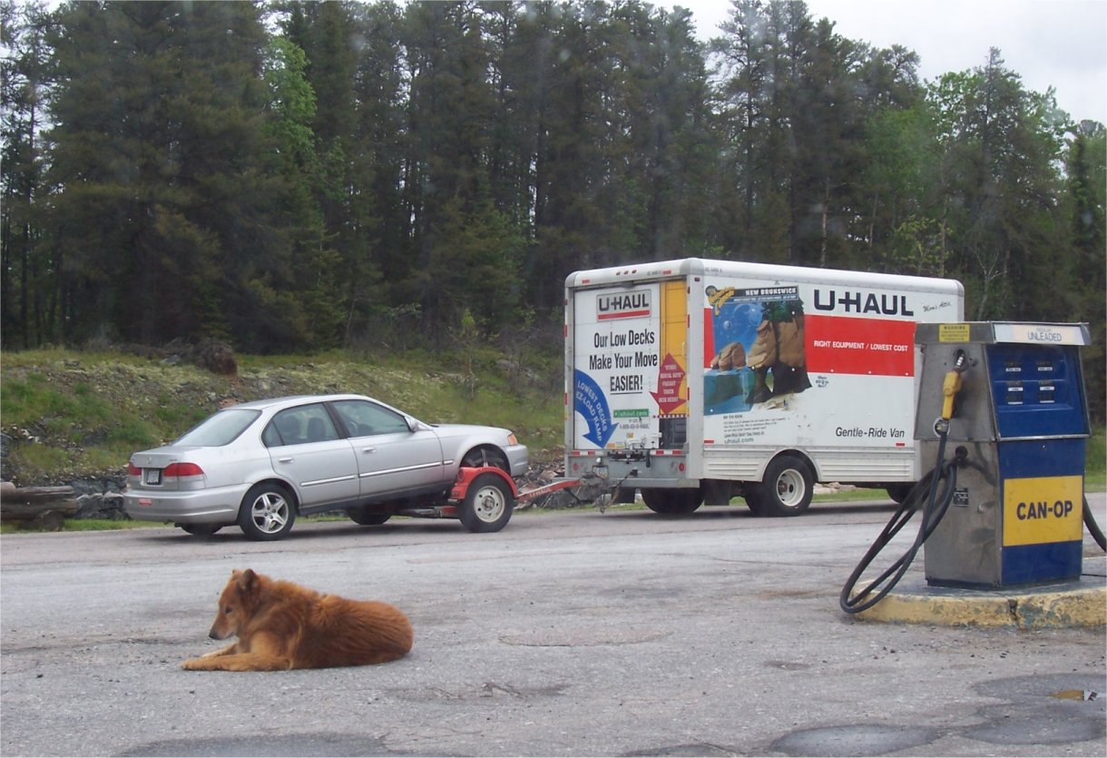 [OntarioDog.jpg]
