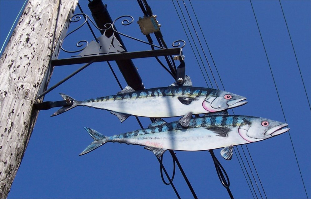 [LunenburgMackerel.jpg]