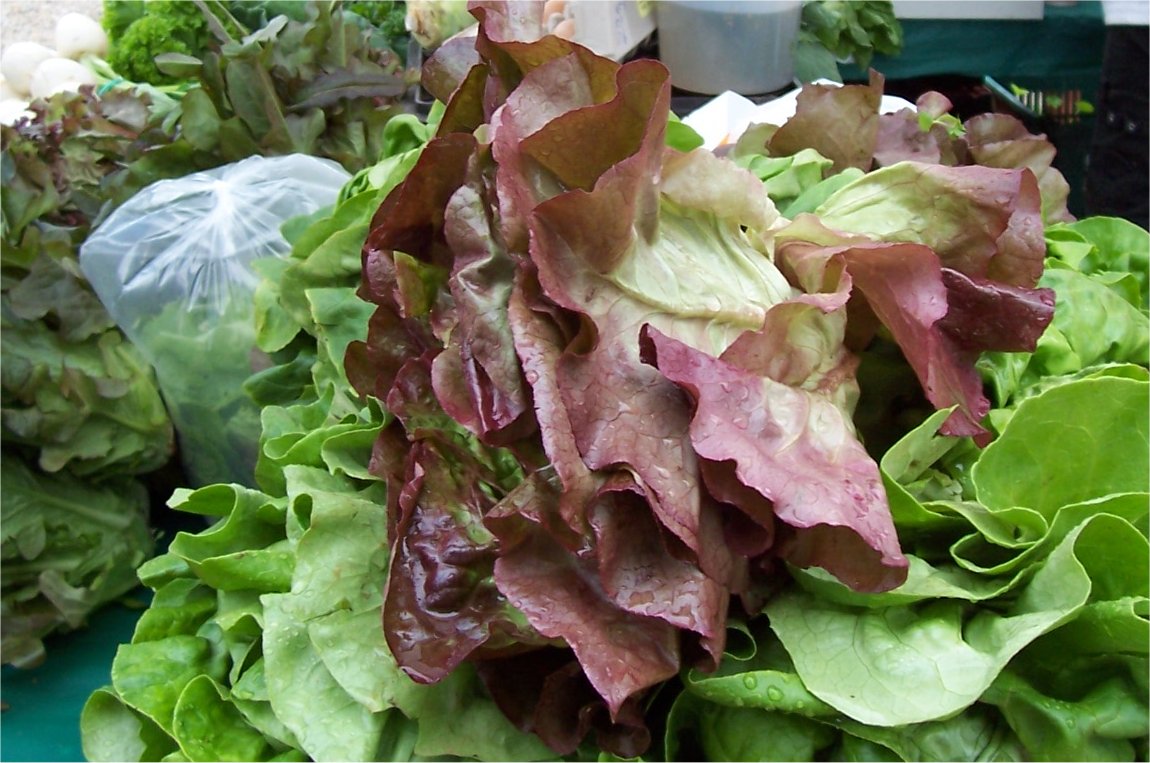 [SaturdayFMGreens.jpg]