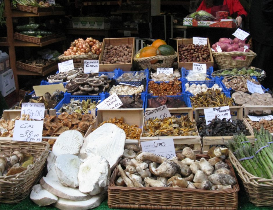 [MushroomSellers.jpg]