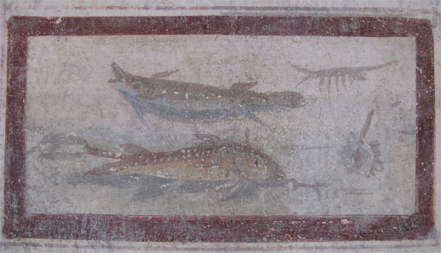 [Pompeii6Fish.jpg]