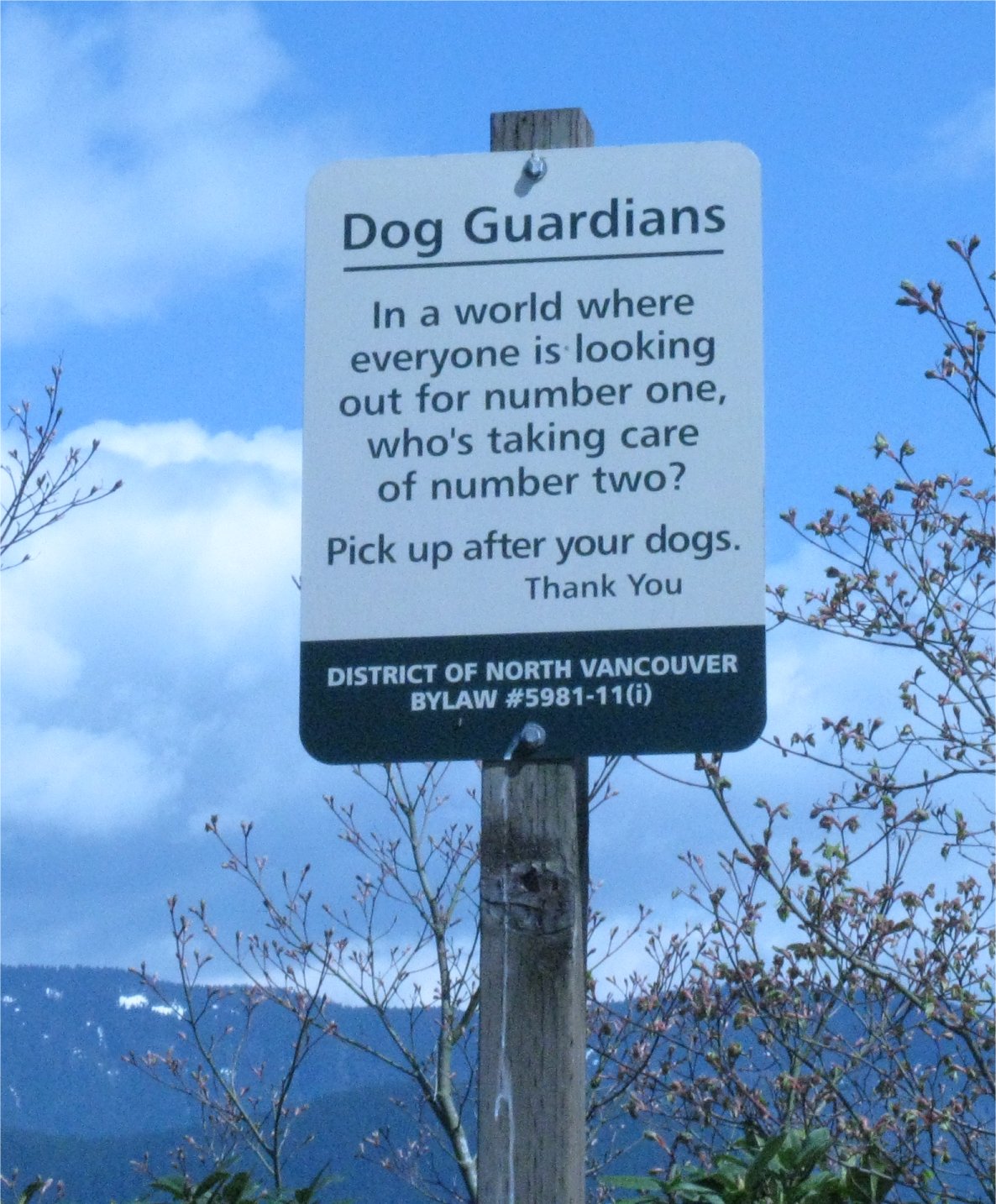 [DeepCoveDogmessage.jpg]