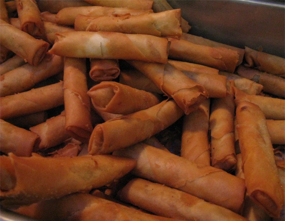 [200905CalgarySpringRolls.jpg]