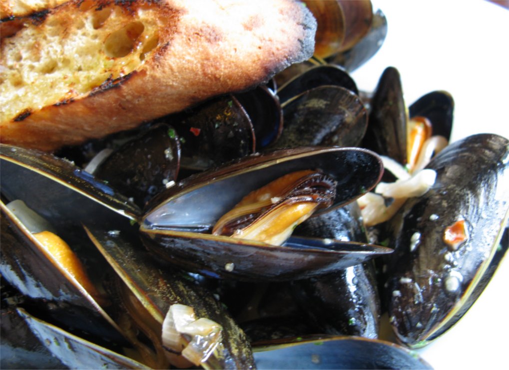 [200905CalgaryCatchMussels.jpg]