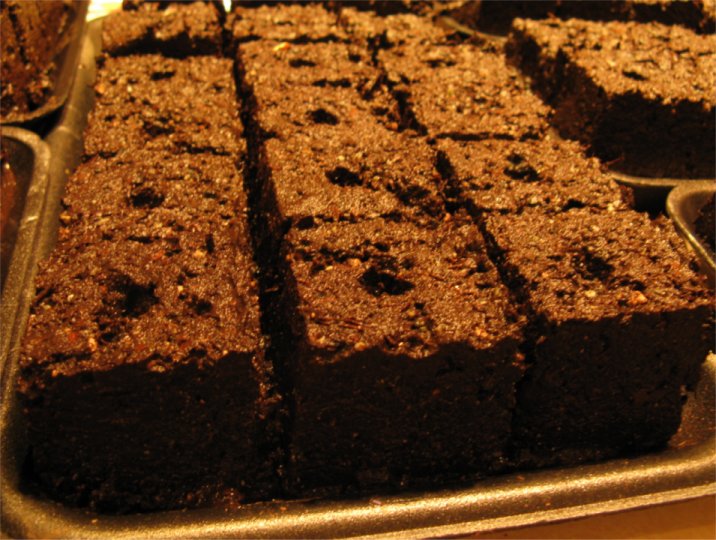 [SoilBlocks1.jpg]