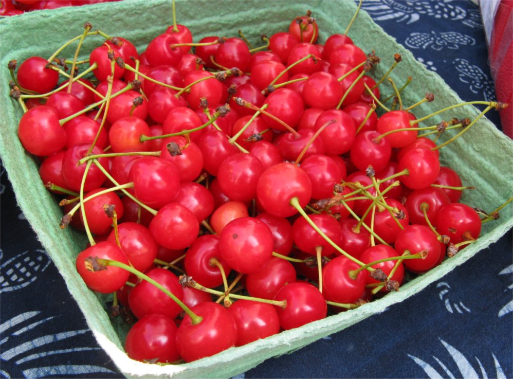 [FarmersMarketSourCherries.jpg]