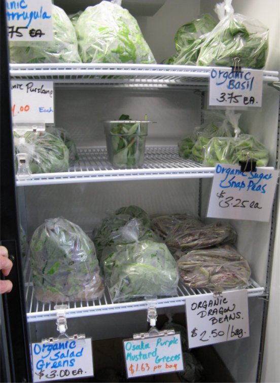 [VillageFamilyMarketFridge.jpg]