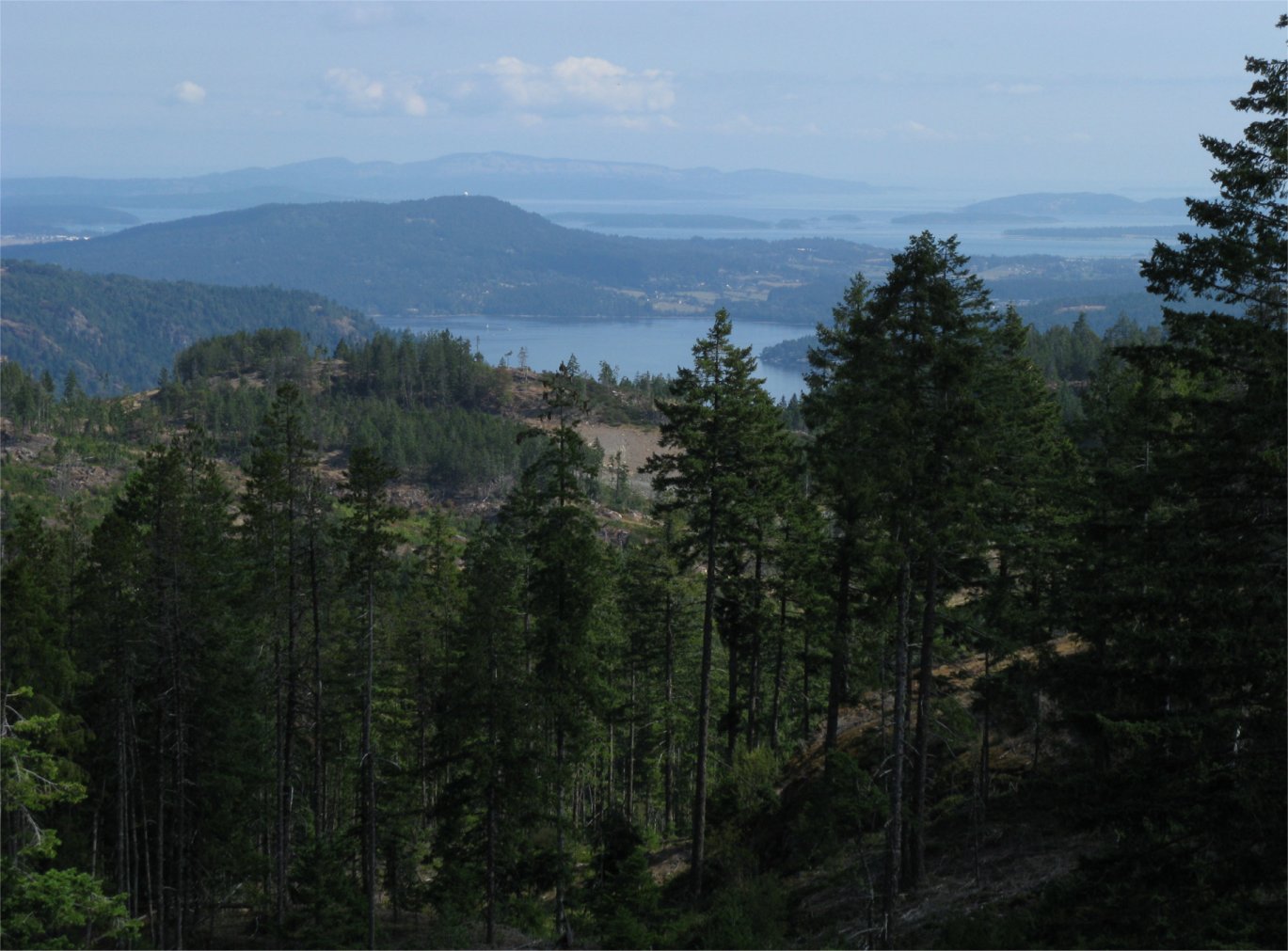 [EF14viewVictoria.jpg]