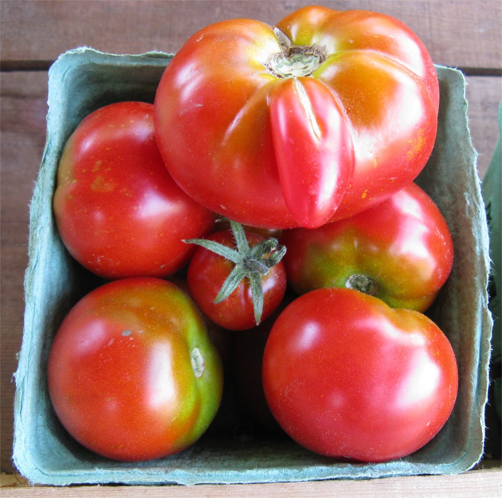 [2009HaliburtonFarmstandTomatoes.jpg]
