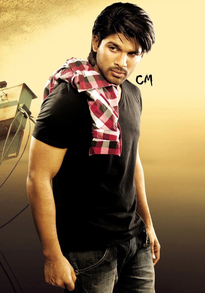 allu arjun malayalam movie 2014 allu arjun malayalam movie 2014