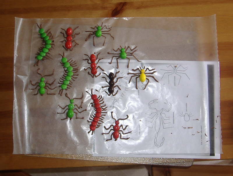 buggin out cupcake toppers