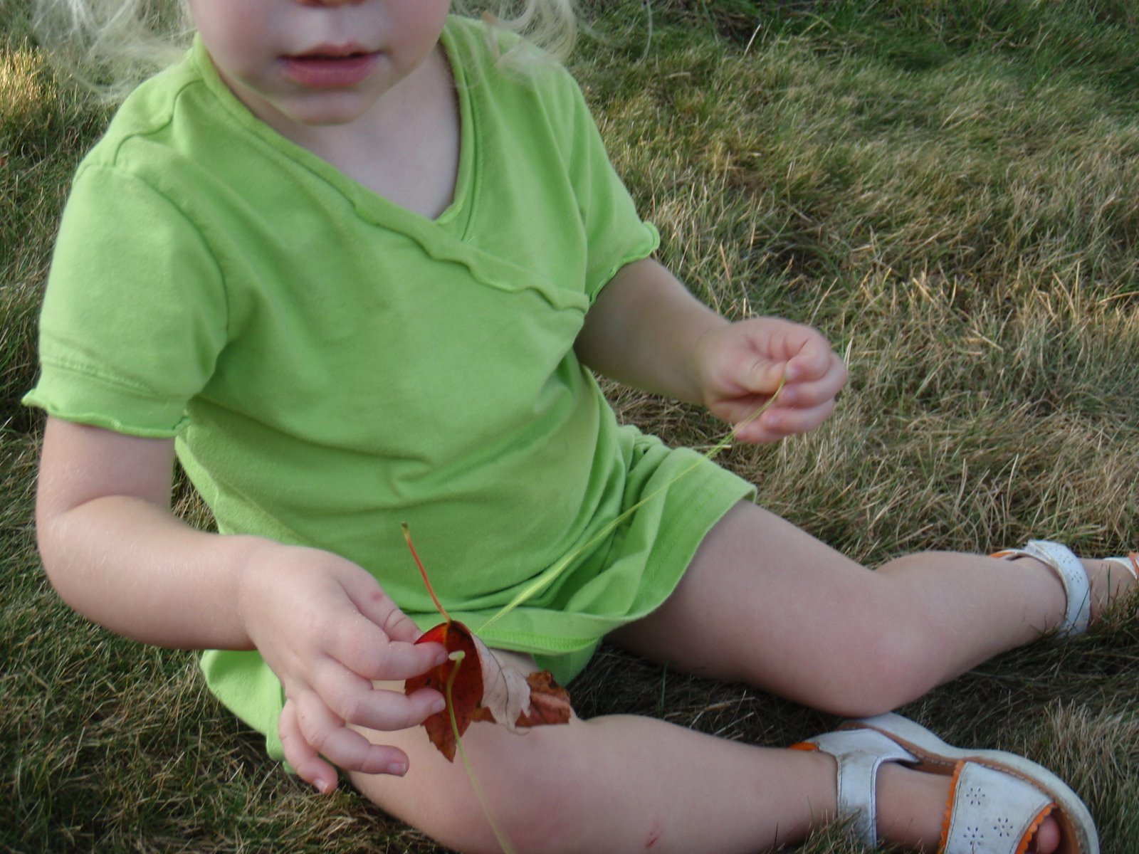 [P9221658.JPG]