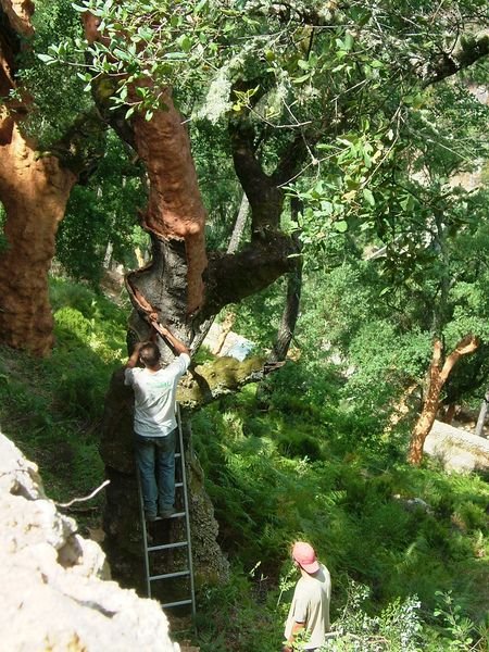 [2º+capítulo+(5).JPG]