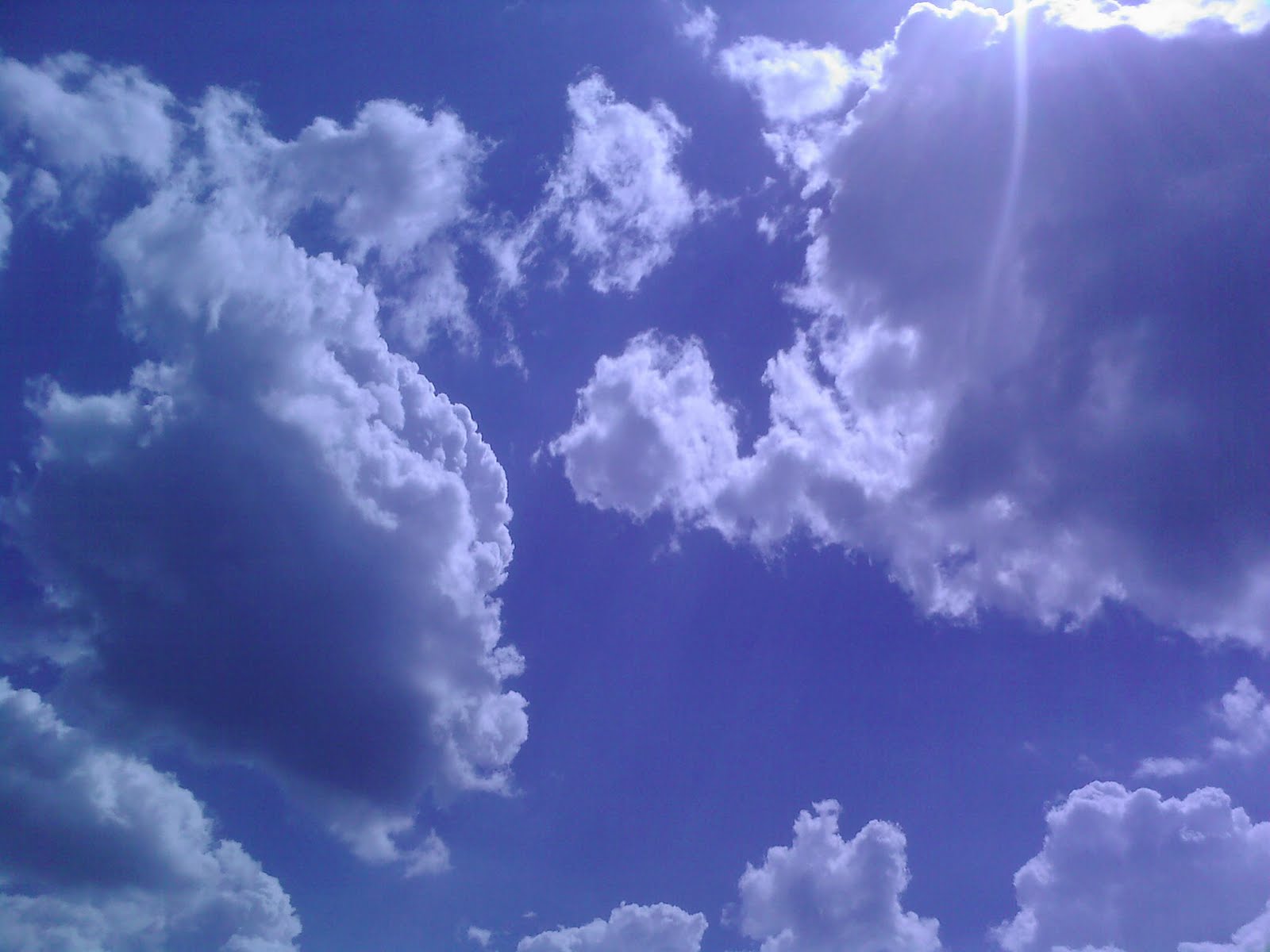 [photopedia+-+ouzo.jpg]