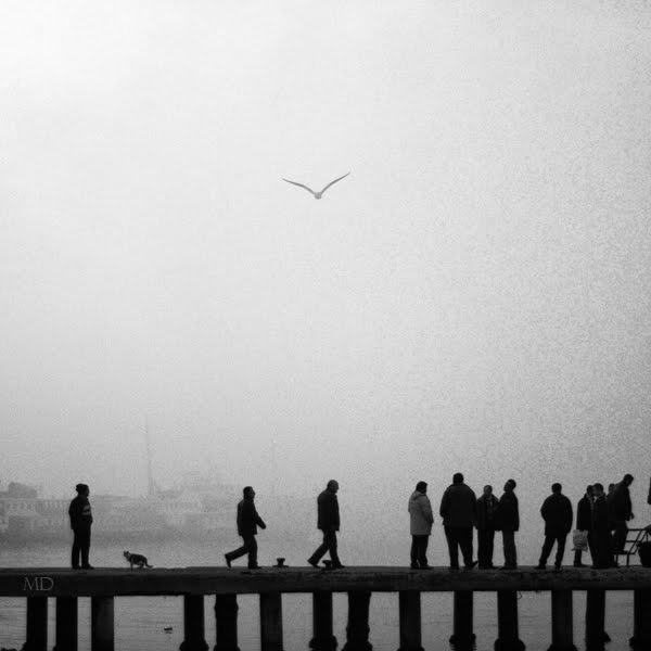 [Life+by+mustafadedeoglu.jpg]