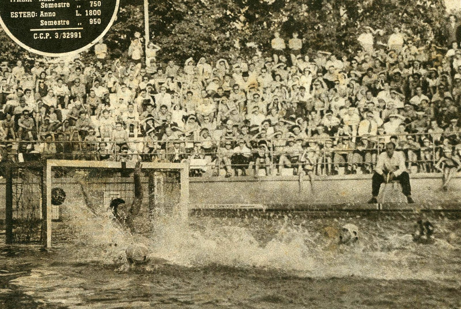 Dino Sefir Challenges World Record Holder Dennis Kimetto In Vienna