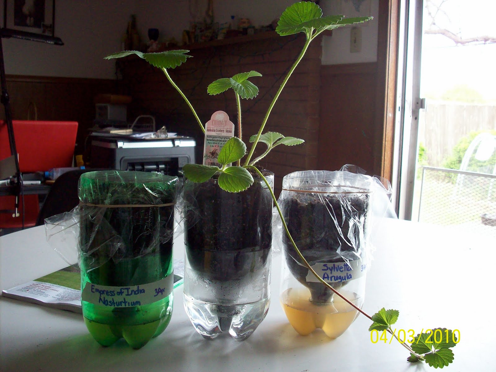 Viragolog Soda Bottle Gardens