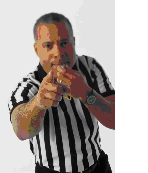 [referee+pic.JPG]