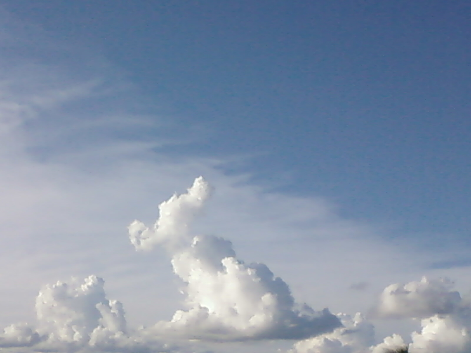 [Foto-0134-740649.jpg]