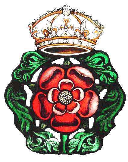 White Tudor Rose