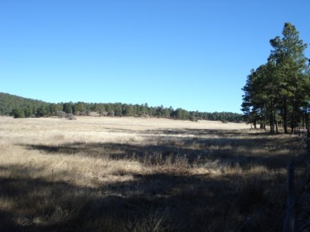 [100124-mexico_desconocido-01-web.jpg]