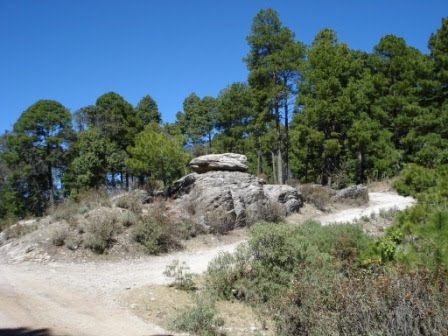 [100124-piedra_balanceada.jpg]