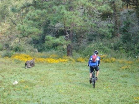 [0810-atravesando_el_paraje.jpg]