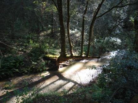 [0810-a_la_mitad_del_camino-web.jpg]