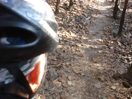 [empezando_mosca.JPG]