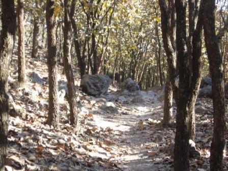 [camino_estrecho.JPG]