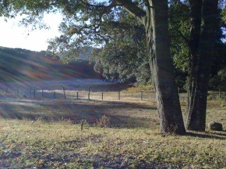 [a_la_vera_del_frillito-web.jpg]